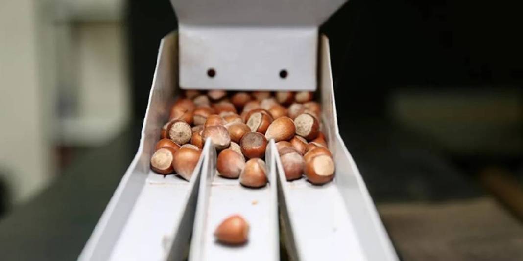 23 yaşında patronlukla tanıştı! 3 farklı şekilde işliyor: Geleceğe yatırım yapıyor 8